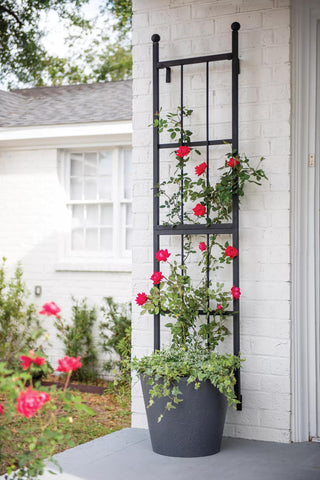 Essex Wall Trellis