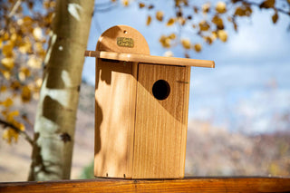 Spruce Creek Bluebird House