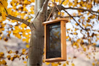 Spruce Creek Tall Finch Feeder