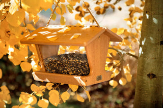 Spruce Creek Hopper Bird Feeder