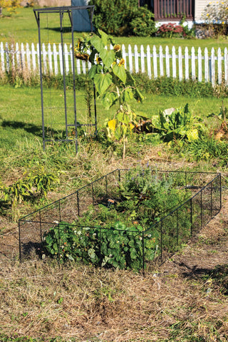 Chicken Wire Critter Fence, 16" High