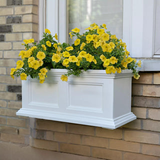 Fairfield Self-Watering Window Box, 2'