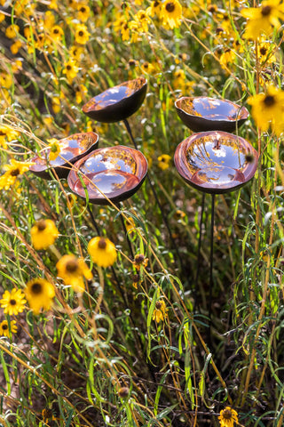 Copper Poppy Sways, Set of 5