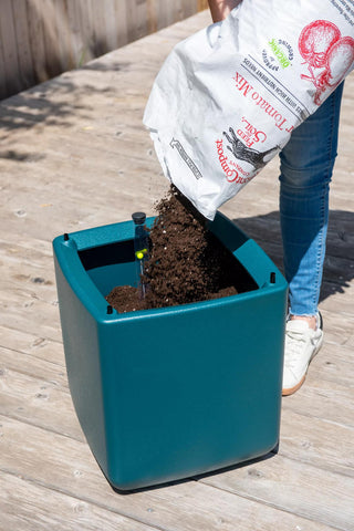 Oasis Self-Watering Tomato Planter With Trellis