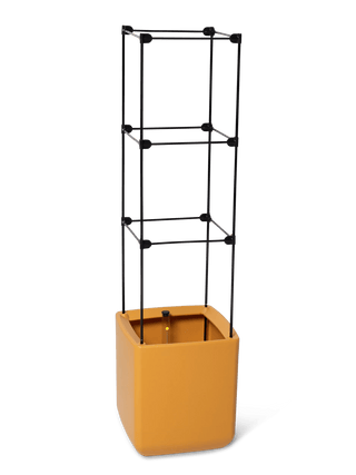 Oasis Self-Watering Tomato Planter With Trellis