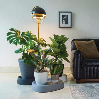 Large Pebble Plant Caddy