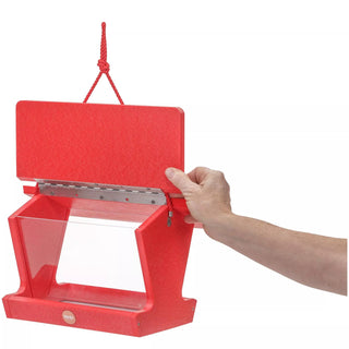 Color Pop Hopper Bird Feeder