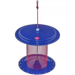 Color Pop Sunflower Seed Bird Feeder