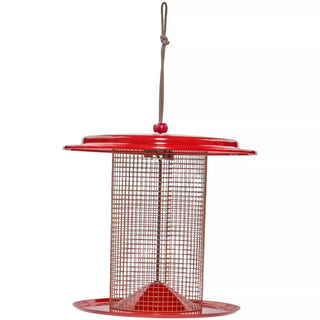 Color Pop Sunflower Seed Bird Feeder