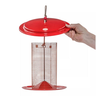 Color Pop Sunflower Seed Bird Feeder