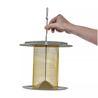 Color Pop Sunflower Seed Bird Feeder