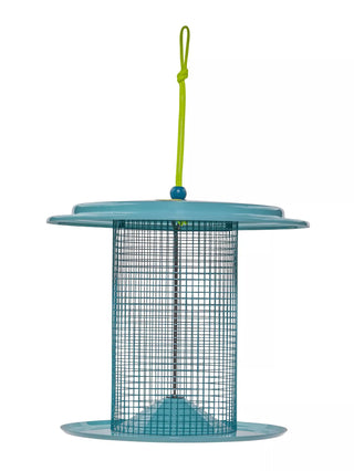 Color Pop Sunflower Seed Bird Feeder