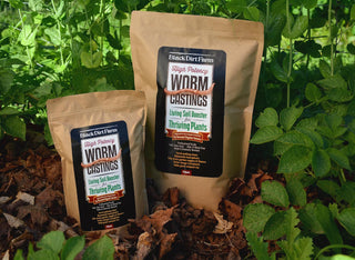 Black Dirt Farm Compost Tea Grade Worm Castings