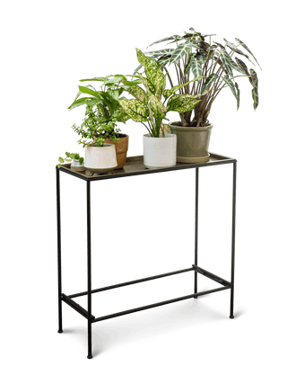 Sleek & Slender Plant Stand Side Table