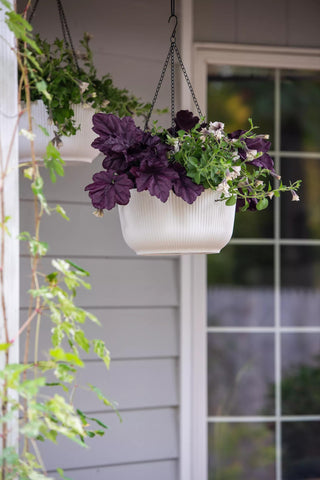 Self-Watering Ribbed Hanging Basket, 11", Set of 2