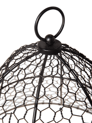 Chicken Wire Cloche