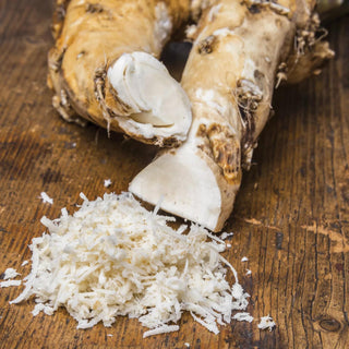 Horseradish, 5 Plants