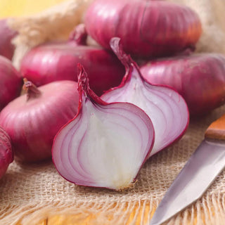Onion Sets Red, 250 Bulbs