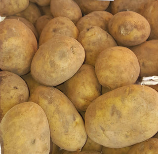 Kennebec Organic Seed Potatoes