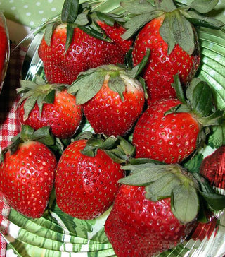 Strawberry, Allstar