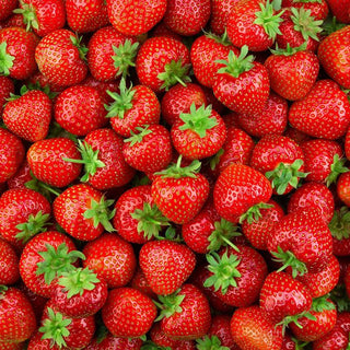 Strawberry, Earliglow