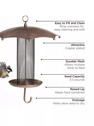 Rainy Day Bird Feeder