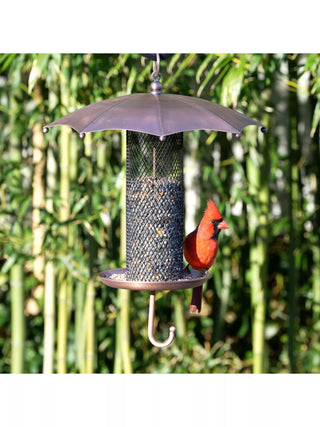 Rainy Day Bird Feeder