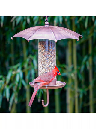 Rainy Day Bird Feeder