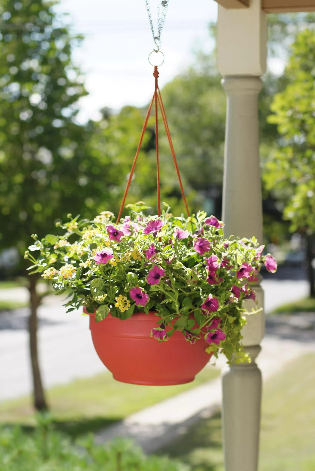 hanging baskets plants delivered Hanging Baskets for Plants, Self Watering