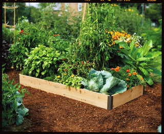 Cedar Raised Beds, 2' Wide (7.25" D)