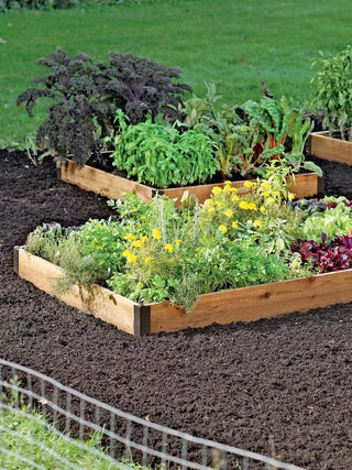 Cedar Raised Beds, 3' Wide (7.25" D)