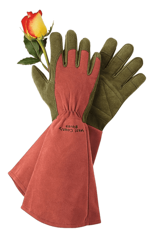 Rose Gloves
