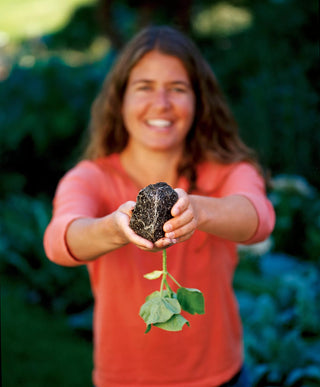 Deep Root Seedstarting System, Black