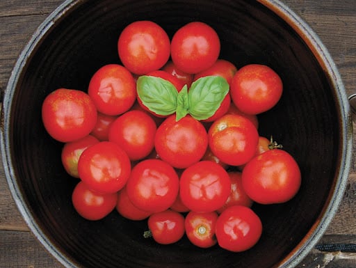 Best Tomatoes - Glacier.jpg