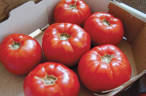 Best Tomatoes for Pots and Planters.jpg