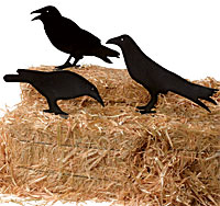 crow-ornaments.jpg