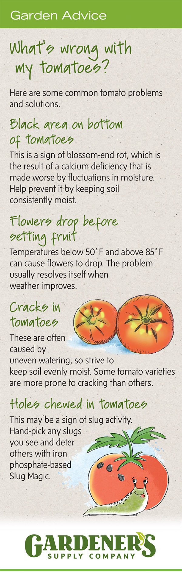 Troubleshooting tips for tomato problems 