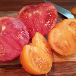 Brandywine tomatoes