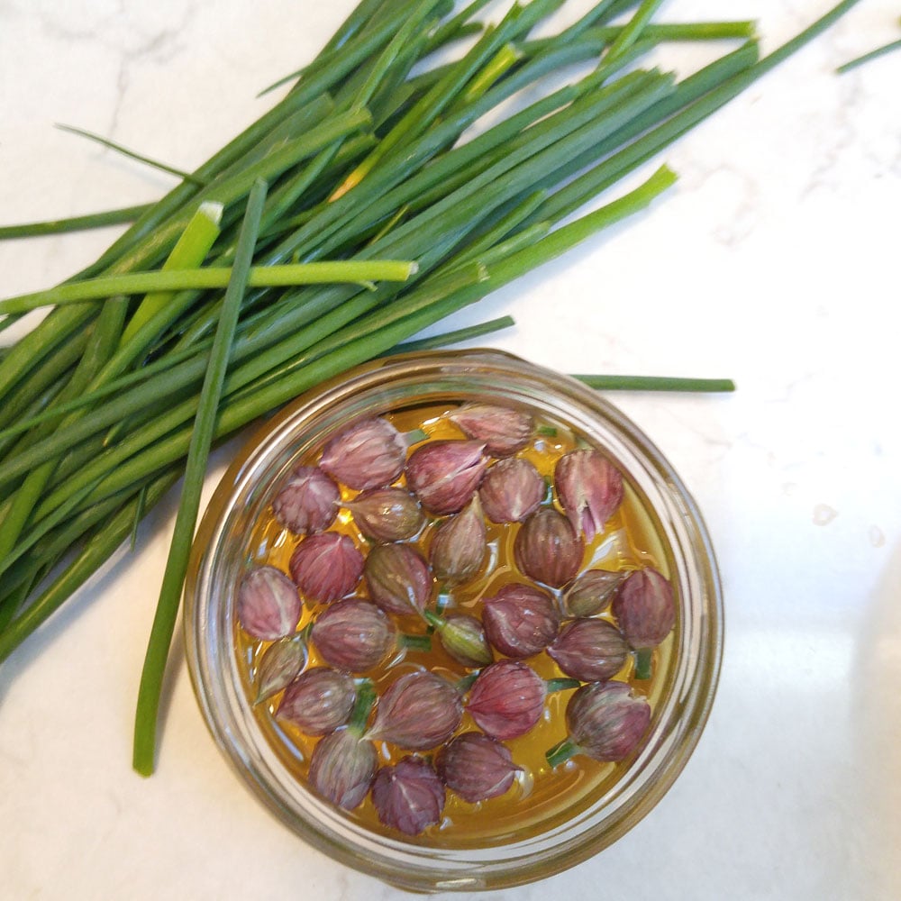 Pickled chive blossoms