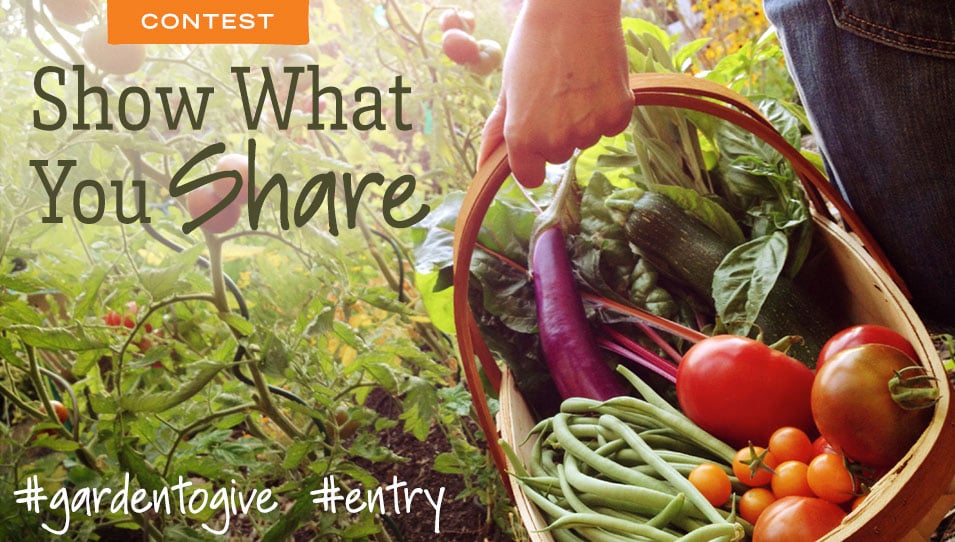 Show What Your Share Harvest photo 