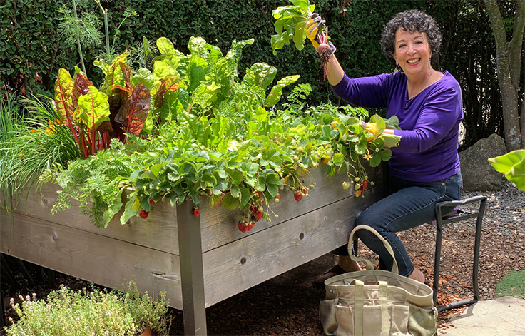  Toni Gattone sitting and wearing gloves by her elevated raised bed