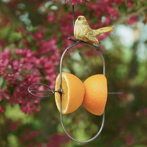  Fruit feeder