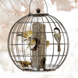  Globe cage feeder with gold finches