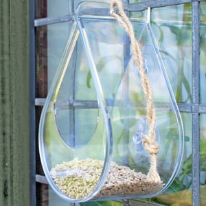  Window feeder