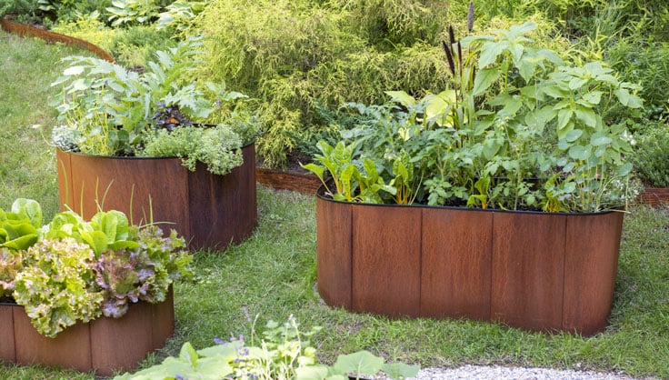 A variety of Birdie's Urban Corten Steel Raised Beds with greens growing in them