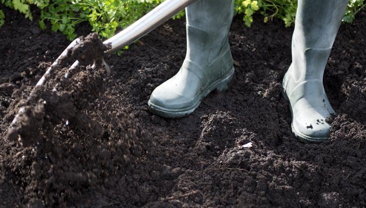 Person digging in the soil with shovel and green wellies