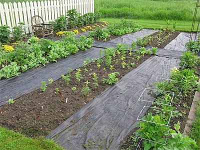 Cutting garden with Pro Weed Mat
