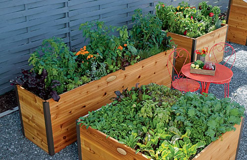 Elevated Raised Beds