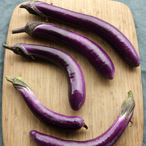 Ping Tung Long eggplant from High Mowing Organic Seeds