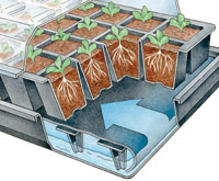 How the Seedstarting Grow Kit works